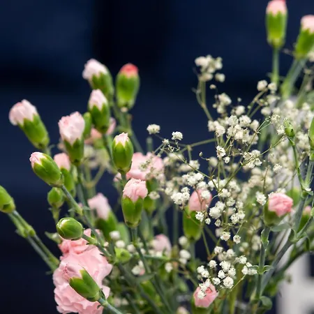 Appartamento Chmielewskiego Lovely By Bookinghost