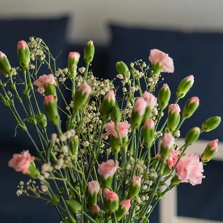 Chmielewskiego Lovely By Bookinghost Appartamento