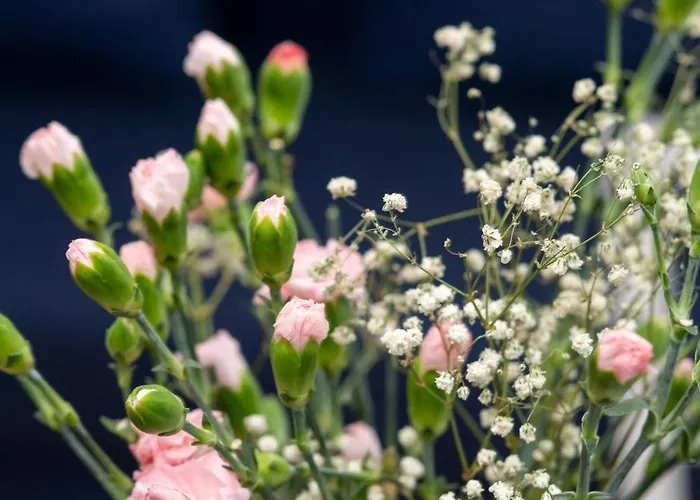 Apartment Chmielewskiego Lovely By Bookinghost