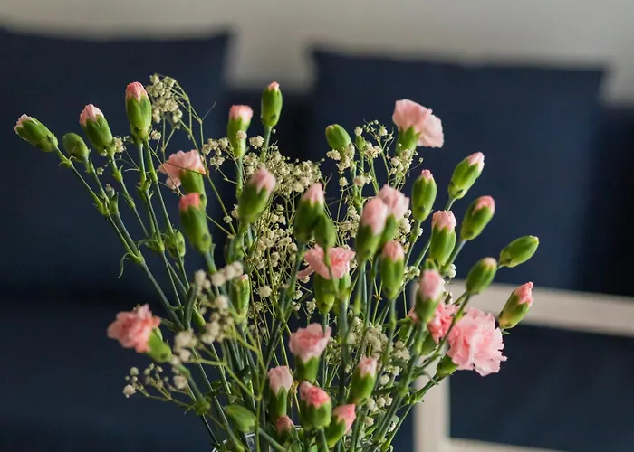 Chmielewskiego Lovely By Bookinghost Apartment